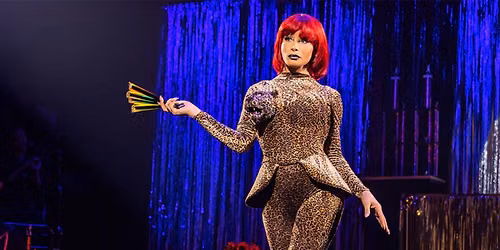 Cats: The Jellicle Ball