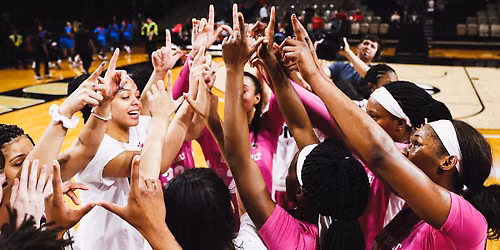 Vanderbilt Commodores Women's Volleyball vs. Samford Bulldogs