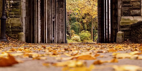 Fall Foliage PhotoStroll at Fort Tryon Park
