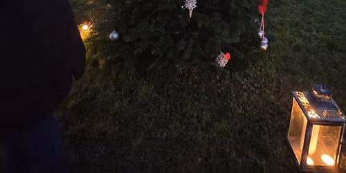 \ud83c\udf32 5th Annual Animal Cemetery Christmas Tree Light Switch-On \ud83c\udf32