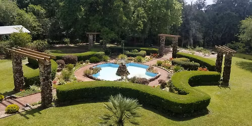 The Rabbit and Rose Tea Room