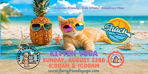 Kitten Yoga at The Shack Oceanfront