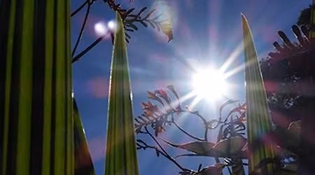 Finding the Source of True Happiness | Post-Spring Festival Retreat