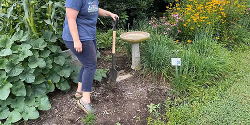 Veggie Gardening: Planting for Higher Yields