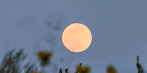 Sister Circle: Full Moon Gathering