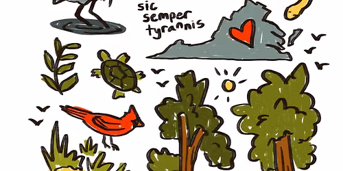 Doodle Wild: Birds, Plants & the Art of Filling a Page