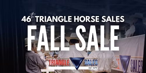 2025 Triangle Fall Sale