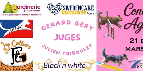 CONCOURS AGILITY PARCEY 2026