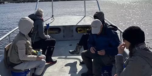 Litter Gitter in the Matanzas Watershed