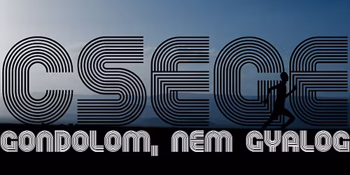 VII. BRO'Z FUT\u00c1S 