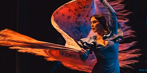 Flamenco Vivo at the Spanish Cultural Center  in Washington, DC