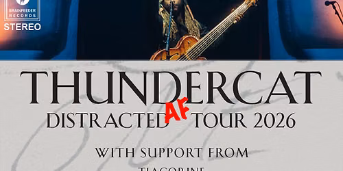 Thundercat
