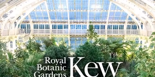 Temperate House Yoga Experience at The Royal Botanic Gardens, Kew
