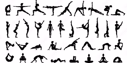 Yoga Basics
