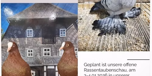 1. offene S\u00fcdpf\u00e4lzer Taubenschau