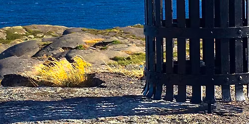 Dugnad med fyrhistorisk omvisning - \u00e5pent for alle