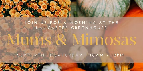 Mums & Mimosas