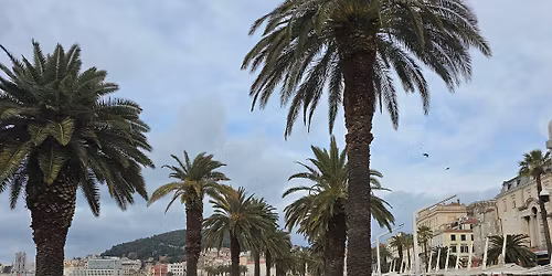 the emperor's ritual