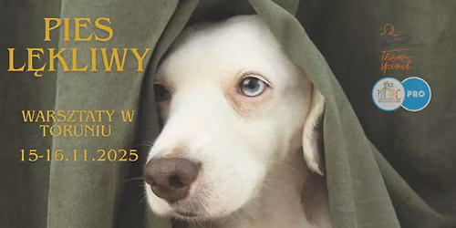Pies l\u0119kliwy na warsztacie. Emilia Czechowicz. Toru\u0144. Dla trener\u00f3w, behawioryst\u00f3w i opiekun\u00f3w ps\u00f3w