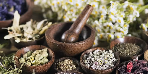 Grief Tending Workshop \ud83c\udf3f