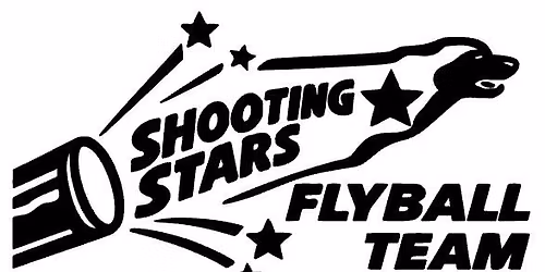 Shooting Stars Flyball Team Maidstone Competition