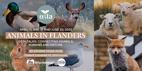 Spring Talk Series: Dieren in Vlaanderen
