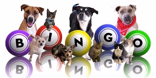 HappiDog Bingo Bash October 4th, 2026