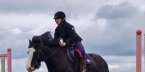 Show jumping inc members points 3