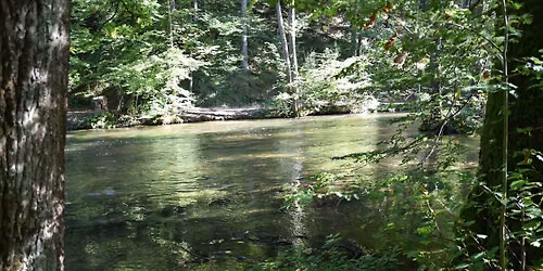 Maisinger Schlucht Family Nature Walk  