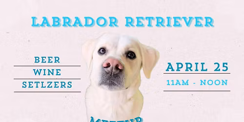 LABRADOR RETRIEVER MEET UP