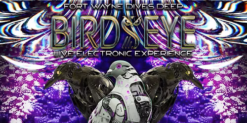 BIRDSEYE Live Electronic Experience