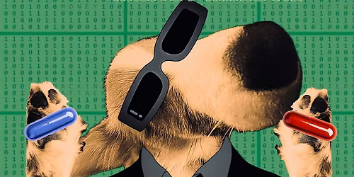 Venue: Blue Willow | Byrd Whystle | Jude Mauk | Mercy Hanson