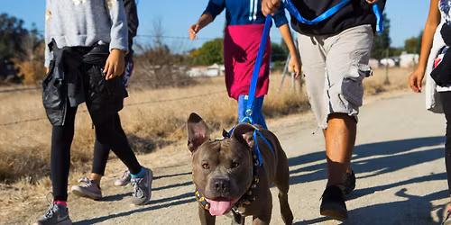 Bully BOO! Walk 2026