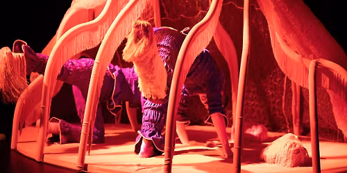 Himstregimser og andre duppeditter \/\/ Parken kulturhus