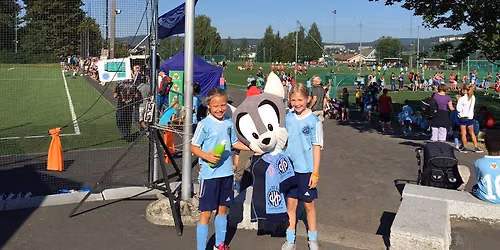 HSIL Internturnering 2026