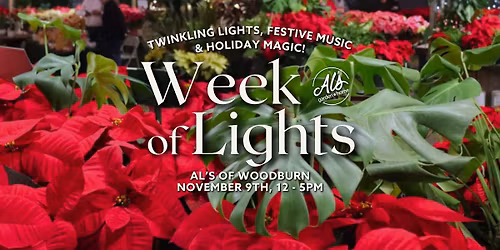 Week of Lights - Woodburn