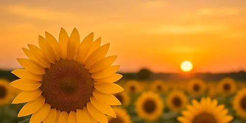 Dream Intending with Cory+Lisa