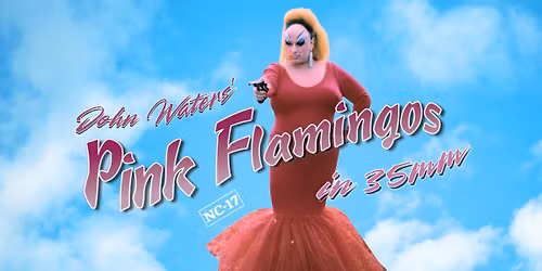 Pink Flamingos in 35mm