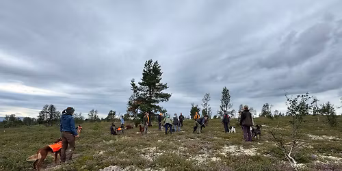 2 dagers kurs for st\u00e5ende fuglehund med Mattias Westerlund 8.-9. august