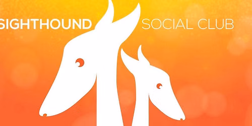 Sighthounds & Sandcastles - Filey Beach. Meet 10.30am for 11am walk