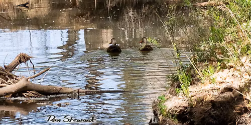 Nature Walk at the San Pedro House