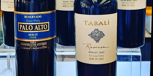 S\u00fcdamerikas gereifte Weine: Kontrast zu heute? \/ South America's vintage wines: contrast to today?