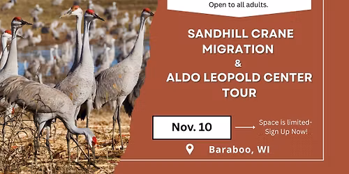 OWLS Baraboo Sandhill Crane Migration 