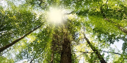 Compassionate Care - For the Self and the Patient