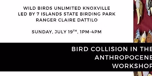 Bird Collision in the Anthropocene Workshop