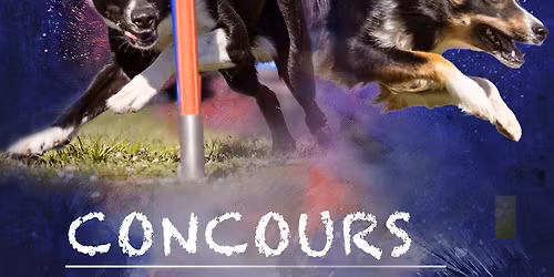 Concours agility 9 parcours demi-journ\u00e9e Dannemarie Dimanche 7 juin 2026