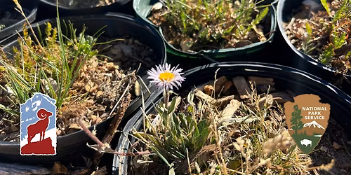 Greenhouse Volunteer Day at Rocky Mountain National Park