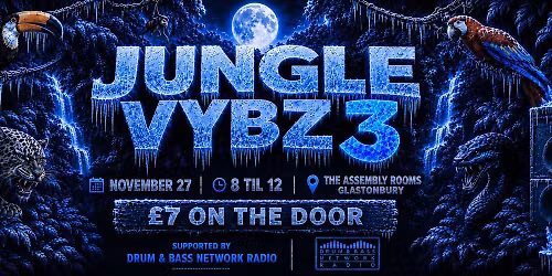 jungle vybz 3