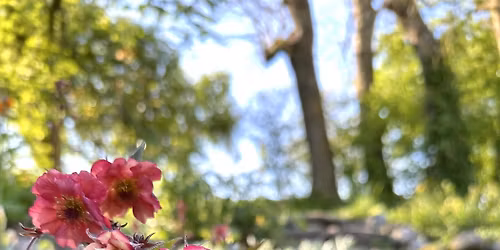 Eksklusivt aften bes\u00f8g i smuk og stemningsfuld Cottagehave