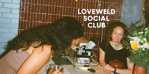 Loveweld Social Club\u2014 Wila + Co.